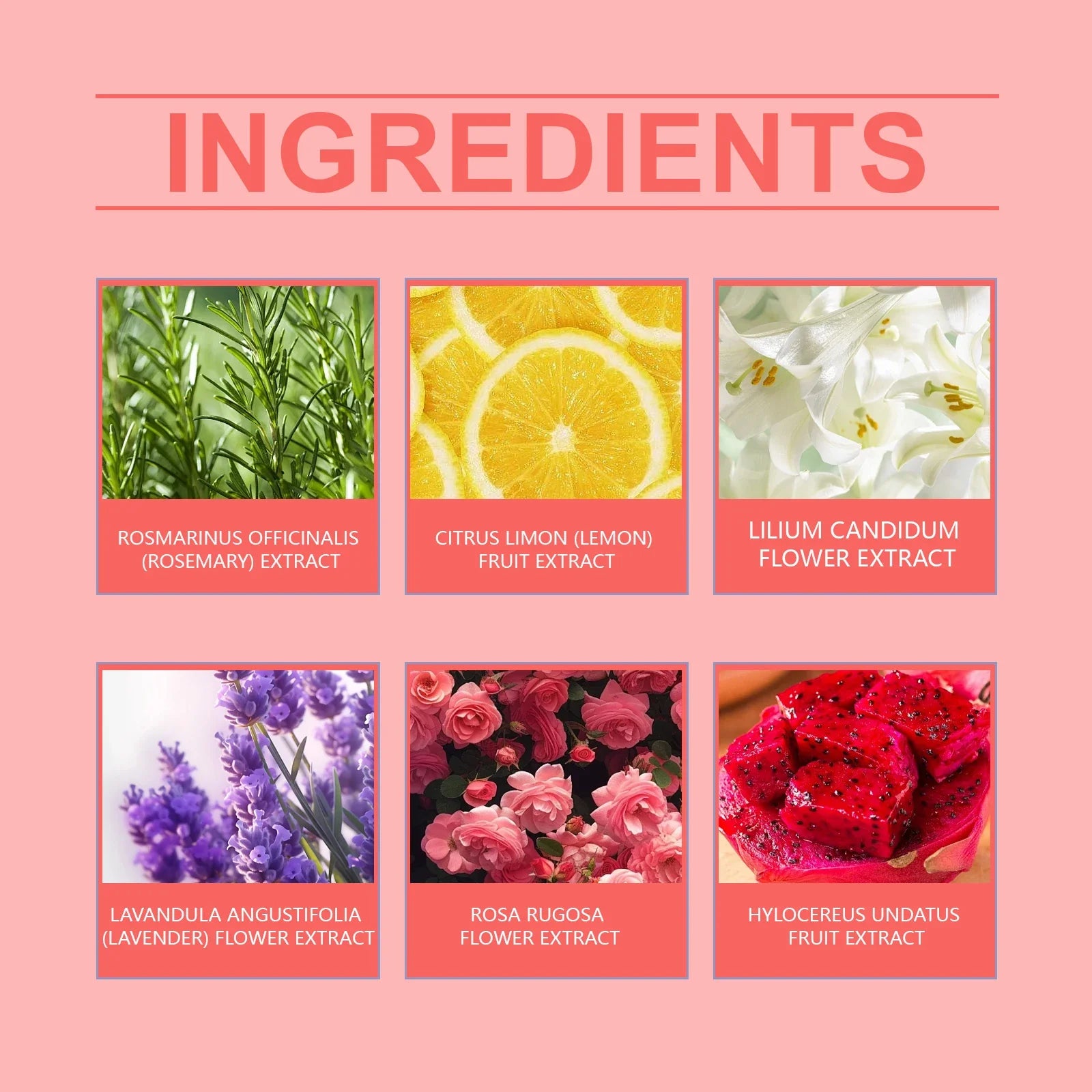 Oceaura 6pcs Fragrance Bath Bombs Nourish Moisturizing Skin Stress Relief Body Natural Kid Wash Spa Exfoliating Skin Shower Ball