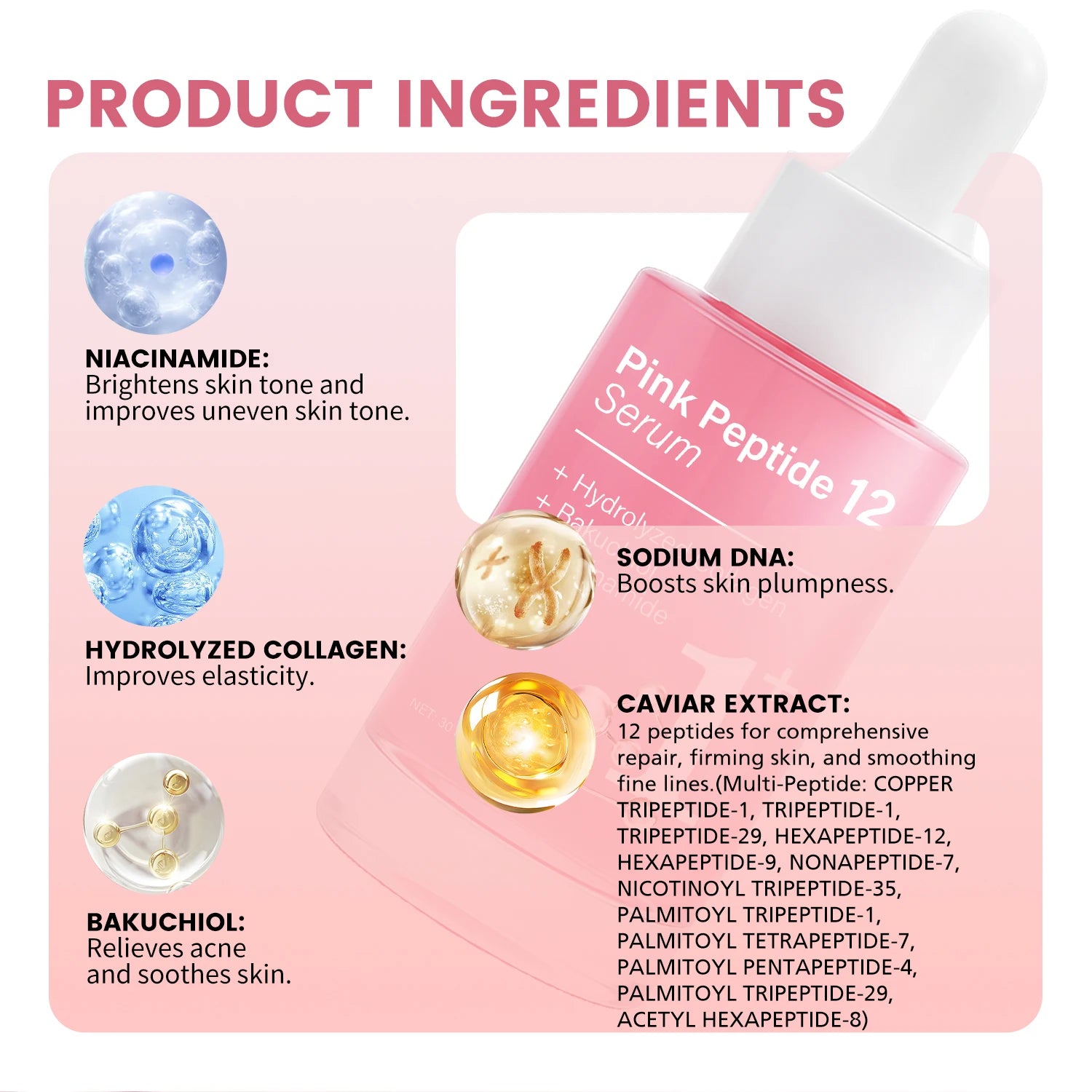 Pink Peptide 12 Serum with Bakuchiol & Niacinamide - Anti Aging Face Serum for Women - Hydrating & Firming 30ml