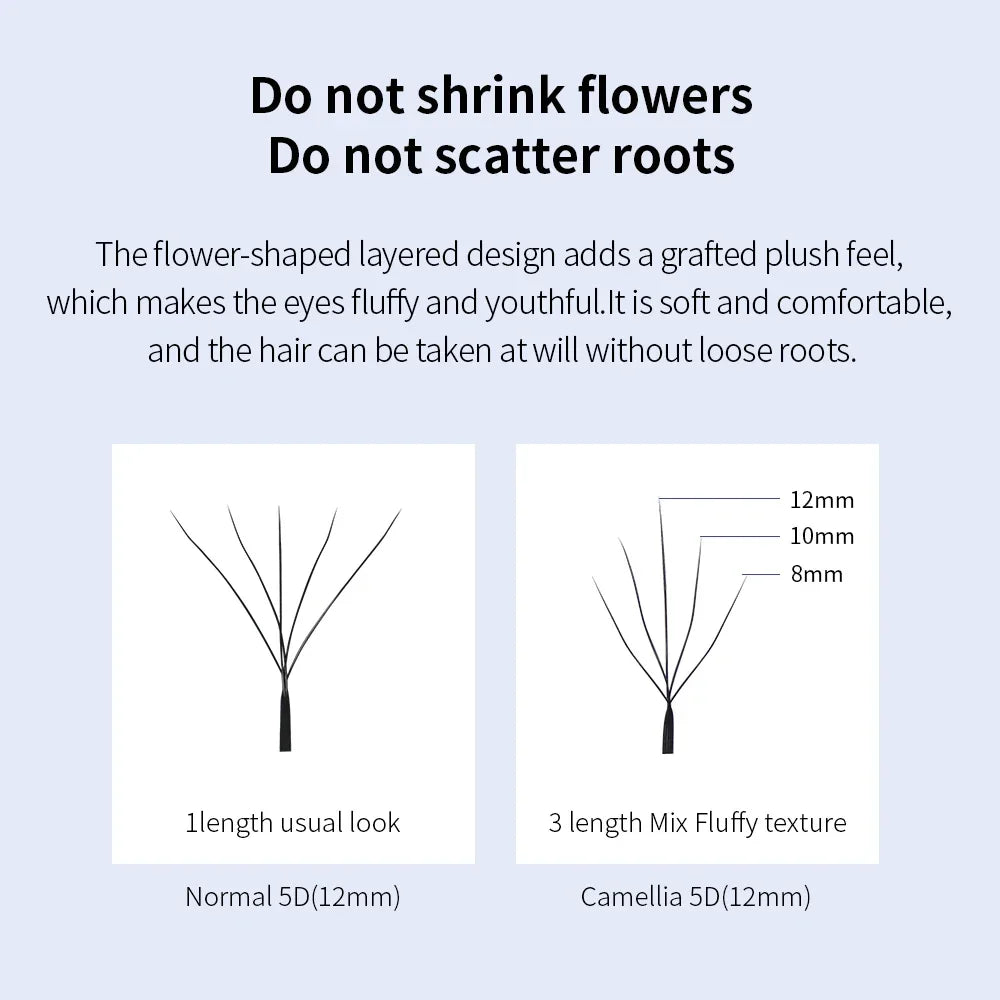 GLAMLASH Camellia 4D 5D W Shaped Eyelash C D L LU M Lashes Extensions Wholesales Premade Volume 12 Rows W Style Natural Soft