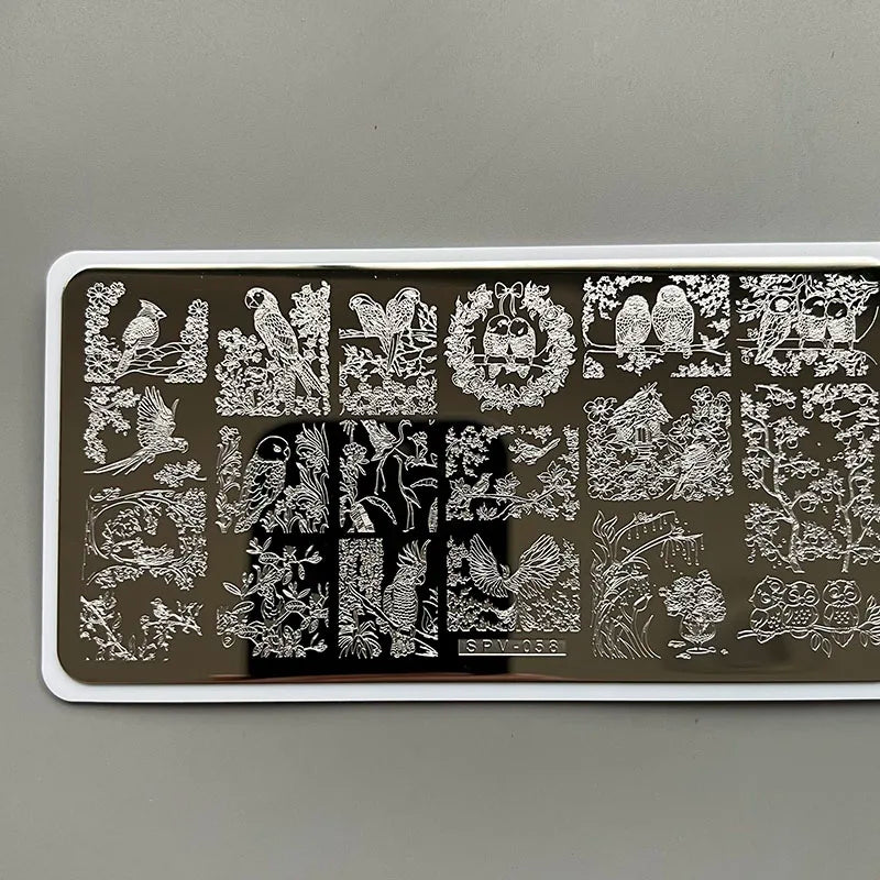 XMQ Nail Art Stamping  Plates Carton Flowers Template