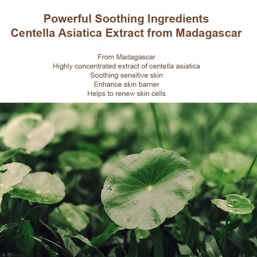Skin1004 Madagascar Centella asiatica probiotic toner moisturizing hydrating moisturizing dry skin Korean skin care products