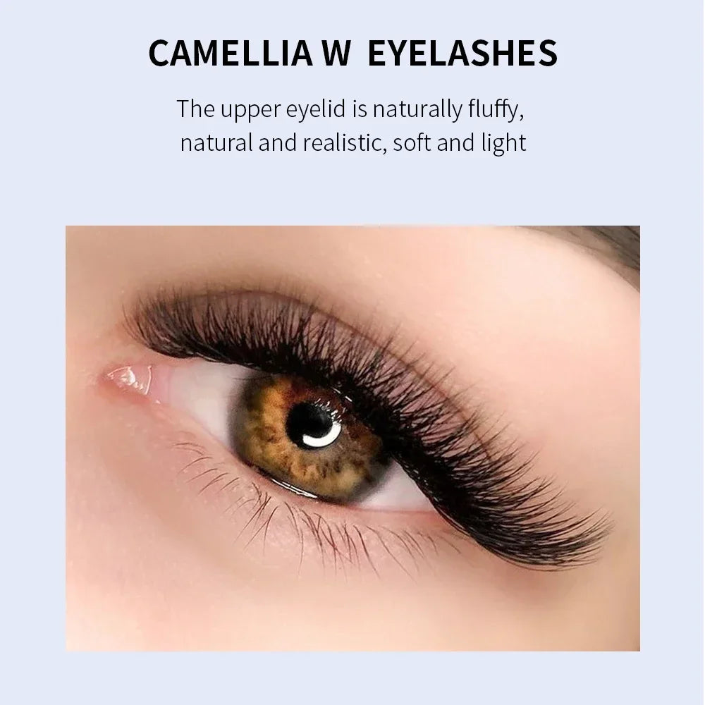 GLAMLASH Camellia 4D 5D W Shaped Eyelash C D L LU M Lashes Extensions Wholesales Premade Volume 12 Rows W Style Natural Soft